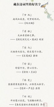 挖掘诗词中的美良好意象
