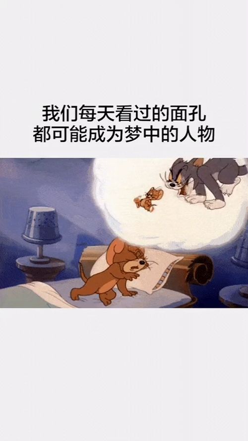 OMG！梦见采蘑菇的奇葩解释大集合