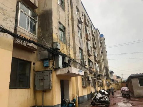 电力小区？旅游？你没疯吧？