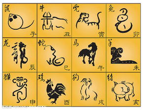 帝王生肖和所代表的具体生肖动物是什么关系？