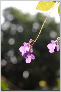 案例分析：平凡岗位上的卓越贡献