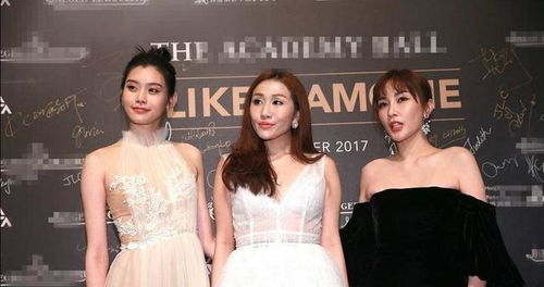 2.1 活动内容与规模