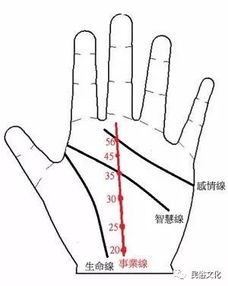 2.3 宝镜纹：权势象征与决策果断度
