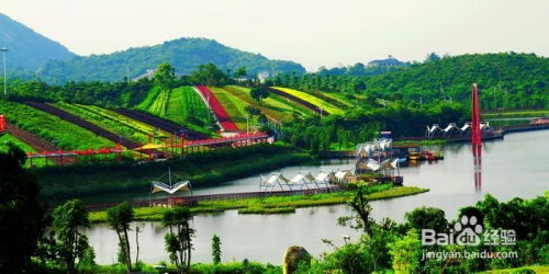 公园野餐全攻略2026