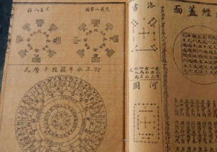 ：中药地龙在传统国学视域下的双重维度审视