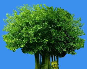 老祖宗那套还管用吗？