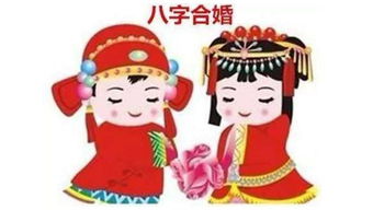 八字合婚时，是看属相还是日柱？属相马与鼠合婚合适吗？