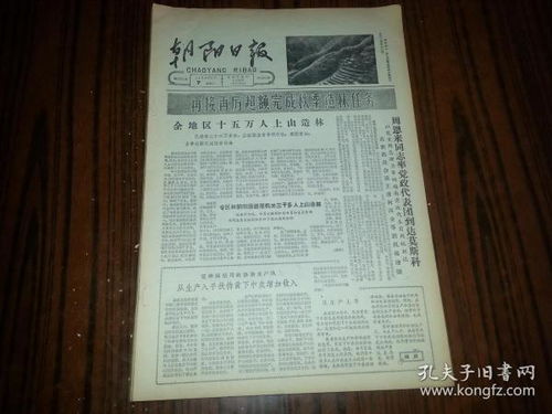 7．综合解析：年月日组合所呈现出的多维特质