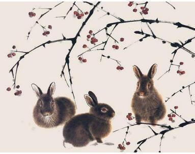 十二生肖兔虎婚姻配对如何，虎兔图片寓意是什么？