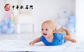 ：龙年婴儿五行缺火之命理背景及探究意义