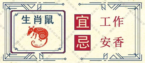 四、 风险提示与行为规范