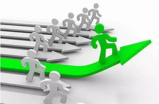 避雷指南：千万别犯这些错误！