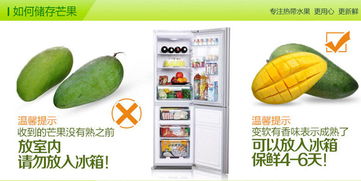 二、采摘过程中的尴尬瞬间