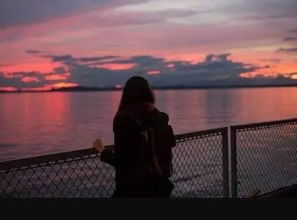 3. 缘分重建：共同活动与磁场共振