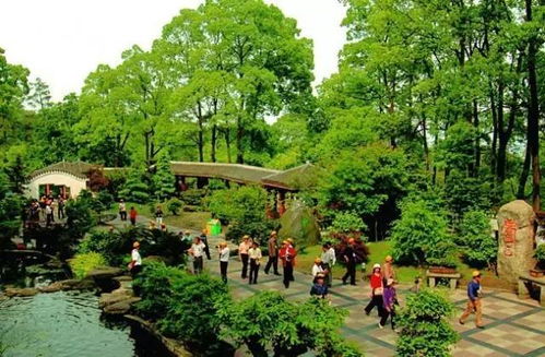 秋冬季才是铁山坪的“较高光时刻”，红叶+薄雾=仙境