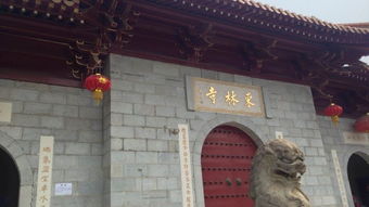 震惊！东林寺门票价格大曝光！看完我直接裂开了