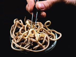 梦见全身爬满虫子是什么预兆？周公解梦有何解释？