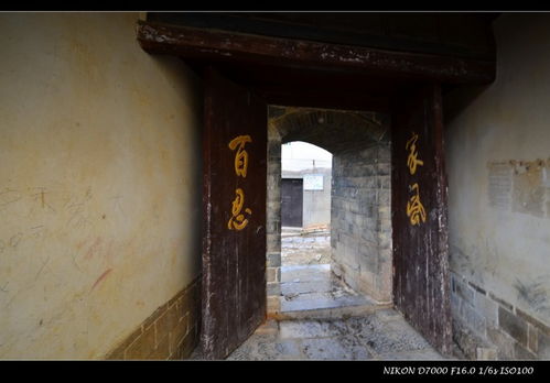 张姓家族的奇葩聚集地