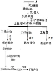 三、 案例研讨：张三先生之阳宅奇格择日实践