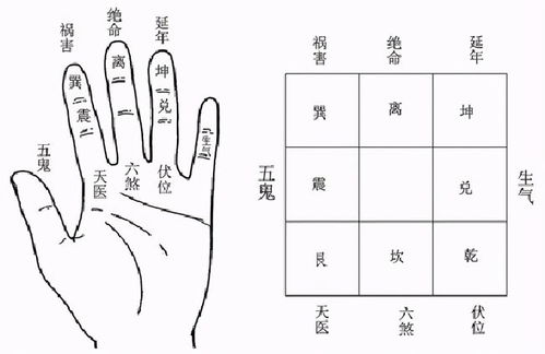 号码笔画吉凶详解中，哪些笔画组合代表大吉大利？