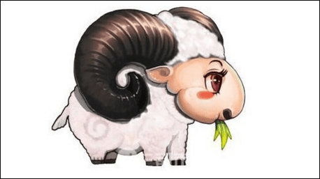 十二生肖中，野兽指的是哪个生肖？