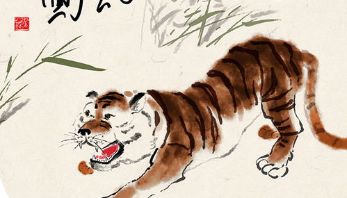 属虎女性性格脾气特点有哪些？