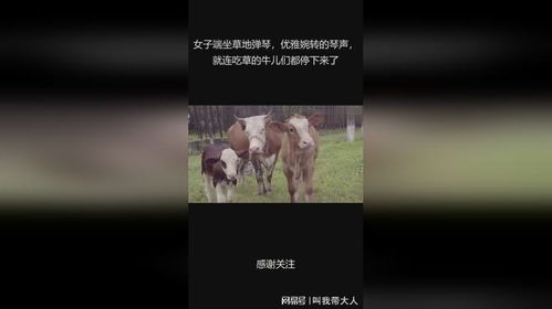 寻找解脱之路