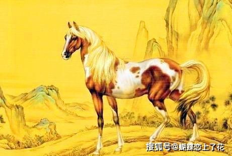 属马的人2026年将年满多少岁？