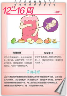 2026年1月求子吉日有哪些？普陀山求子符真的能助孕吗？