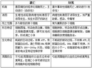 阴阳二气的自然起源——水的象征意义