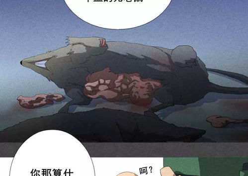 一、 探究背景与理论框架