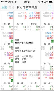 二、 星曜组合对官禄宫运势之影响机制