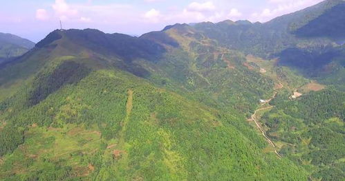 湛江哪些地方被列为十大风水宝地，其中元帅的风水宝地排名如何？