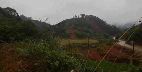 阴宅卧碑风水知识，坟前卧碑格式图片是怎样的？