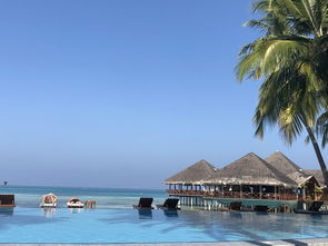 马尔代夫家庭度假游推荐：梦幻天堂还是坑爹陷阱？