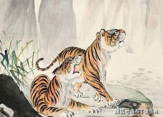 三、  生肖狗：忠诚人格与利他主义的情感升华