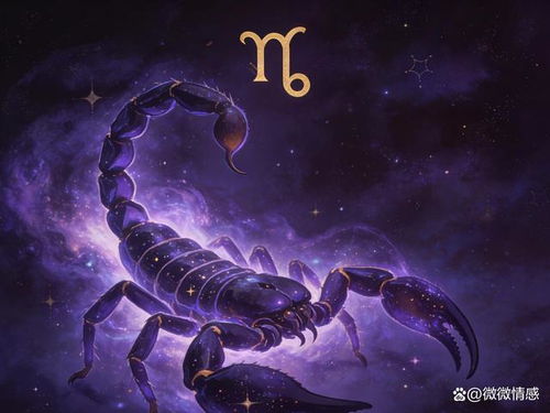 十一月里是哪个星座，难道不是天蝎座吗？