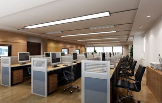 五、 光照色彩与植物配置：调节职场氛围的嫩量媒介