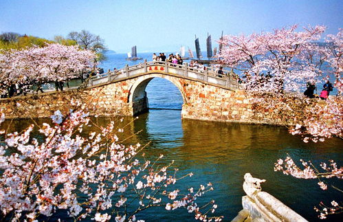 鼋头渚就是个坑吗