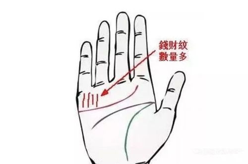 手相与财运的关系