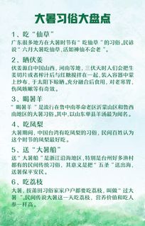 三、  中医养生与防暑策略：顺应天时的生活实践