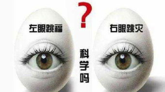3. 37岁：中阳之运 – 左眼珠部位