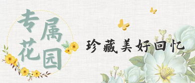 1. 许语馨 (yǔ xīn)