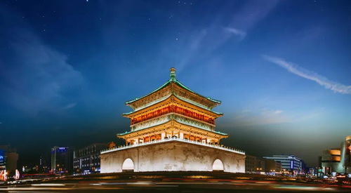 陆陆是谁？她的故事不寻常