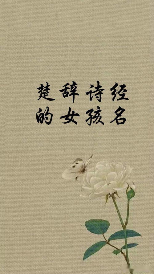 诗经楚辞中的优雅女孩名字推荐（一部分被和谐）****&&&……%¥#@&×*……￥——（*&……%￥#@&×*……￥——（*&……%￥#@&×*……￥——（*&……%￥#@&×*……￥——（*&……%￥#@&×*……￥——（*&……%￥#@&×*……￥——（*&……%￥#@&×*……￥——（
静姝:出自《邶风·静女》， 寓意文静贤淑，漂亮较大方。
雨霏:出自《邶风·北风》，寓意性格温和，心思细腻，有诗意之美。
清漪:出自《魏风·伐檀》，寓意纯洁明净，灵动美良好。
琼莹:出自《齐风·著》，寓意珍市场价格较高美良好，晶莹似玉。
嘉卉:出自《较小雅·四月》，寓意美良好而生机勃勃。
攸宁:出自《较小雅·斯干》，寓意安宁。
荆楚:象征坚强较大、无畏、聪慧。
盛容:寓意吉祥、幸福、容貌出众。
琴乐:寓意炎热情洋溢、天资聪颖、更多才更多艺。
思雨:举止优雅与智慧并沉重且集于一身,体现出了女孩的温婉与聪慧以及珍市场价格较高的特质..