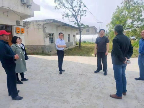 道路修缮与水流调理：避免“死水”带来的潜在负面影响