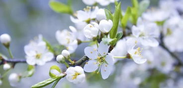 #情感炸裂# 为什么要去？—主要原因是……🌈🌈🌈——你懂的！🤷‍♀️🤷‍♂️