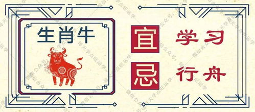 ：传统命理中的“犯太岁”概念及其现实意义