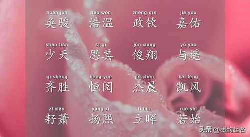 熠熠生辉