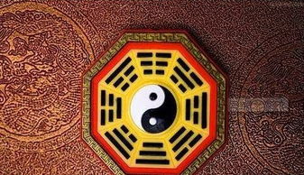 子女宫——血脉延续与福禄显现